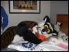 [Growl MFF2004 051]