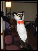 [Growl MFF2004 065]