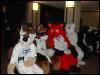 [Growl MFF2004 067]