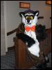 [Growl MFF2004 106]