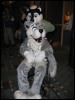 [Growl MFF2004 121]