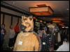 [Growl MFF2004 144]