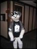 [Growl MFF2004 188]