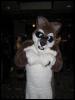 [Growl MFF2004 194]