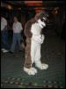 [Kwip MFF2004 009]