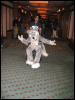 [Kwip MFF2004 021]