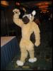 [Kwip MFF2004 026]