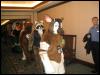 [Kwip MFF2004 196]