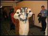 [Kwip MFF2004 200]