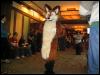 [Kwip MFF2004 219]