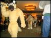 [Kwip MFF2004 223]