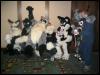 [Kwip MFF2004 603]