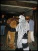 [Kwip MFF2004 618]