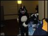 [PandaOhki MFF2004 064]