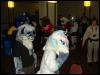 [PandaOhki MFF2004 068]