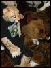 [PandaOhki MFF2004 077]