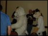 [PandaOhki MFF2004 078]