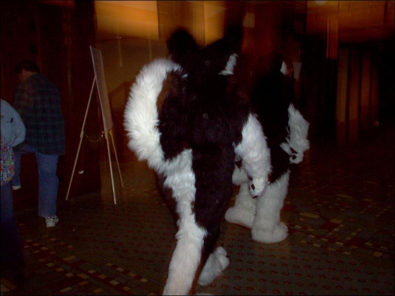 [SoulWolf_MFF2004_10.jpg]