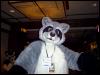 [SoulWolf MFF2004 15]