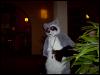 [SoulWolf MFF2004 22]