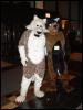 [Wuuulf MFF2005 038]