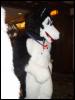 [Wuuulf MFF2005 086]