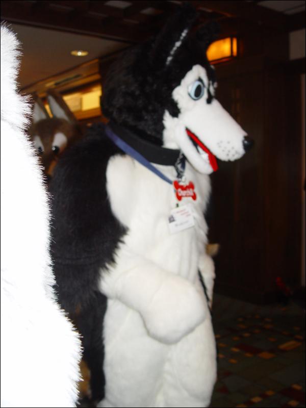 [Wuuulf_MFF2005_086.jpg]