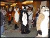 [Wuuulf MFF2005 100]