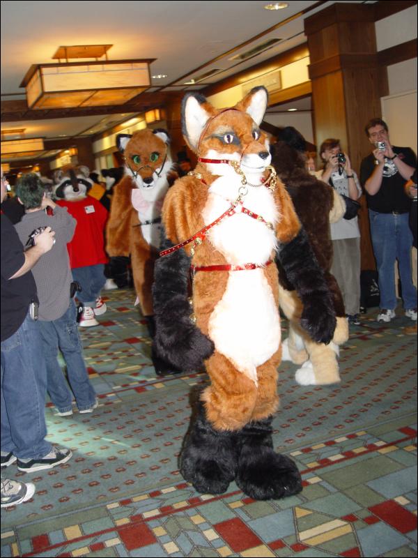 [Wuuulf_MFF2005_117.jpg]