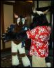 [ZephyrPanthur MFF2005 010]