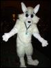 [ZephyrPanthur MFF2005 022]