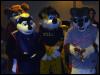 [ZephyrPanthur MFF2005 033]