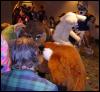 [ZephyrPanthur MFF2005 053]