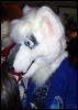 [ZephyrPanthur MFF2005 128]