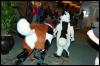 [Aaron MFF2006 031]