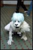 [Aaron MFF2006 185]