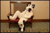 [Aaron MFF2006 201]