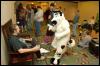 [Aaron MFF2006 203]