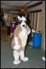 [Aaron MFF2006 445]