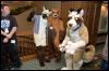 [Aaron MFF2006 574]