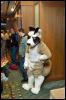 [Aaron MFF2006 587]