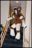 [Aaron MFF2006 595]