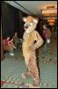 [Aaron MFF2006 657]