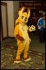 [Aaron MFF2006 662]