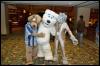 [Aaron MFF2006 686]