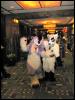 [Aaron MFF2006 735]