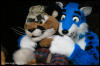 [AkitaInus MFF2006 014]