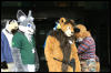 [AkitaInus MFF2006 017]