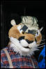 [AkitaInus MFF2006 019]