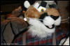 [AkitaInus MFF2006 029]